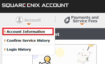 SQUARE ENIX Account Confirmation and How to Return to FINAL FANTASY XI